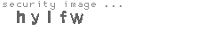 security image