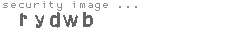 security image