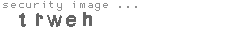 security image