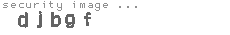 security image