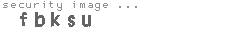 security image
