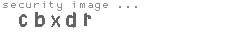 security image