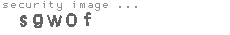 security image