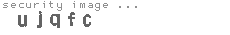 security image