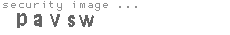 security image