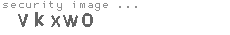 security image