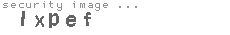 security image
