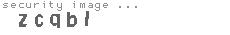 security image