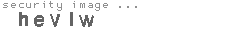 security image