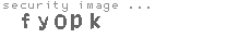 security image