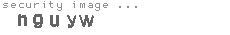 security image