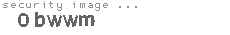 security image