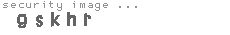 security image