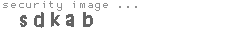 security image
