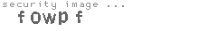 security image