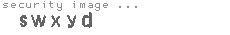 security image