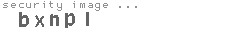 security image
