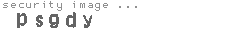 security image