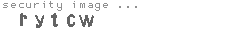 security image