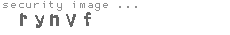 security image