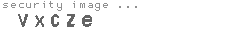 security image
