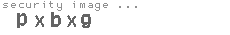 security image