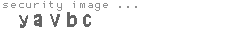 security image