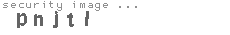 security image