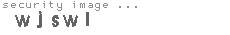 security image