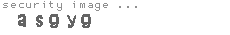 security image