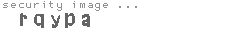 security image
