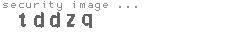 security image