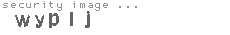 security image