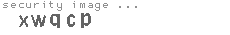 security image