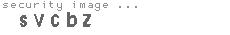 security image