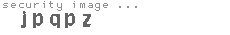 security image