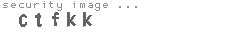 security image