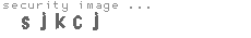 security image