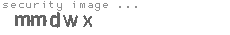 security image