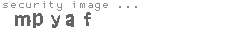 security image