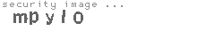security image