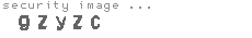 security image