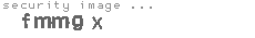 security image