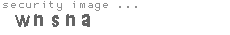 security image