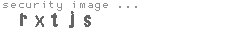 security image