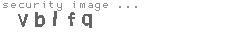 security image