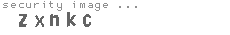 security image