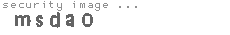 security image