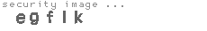security image