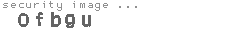 security image